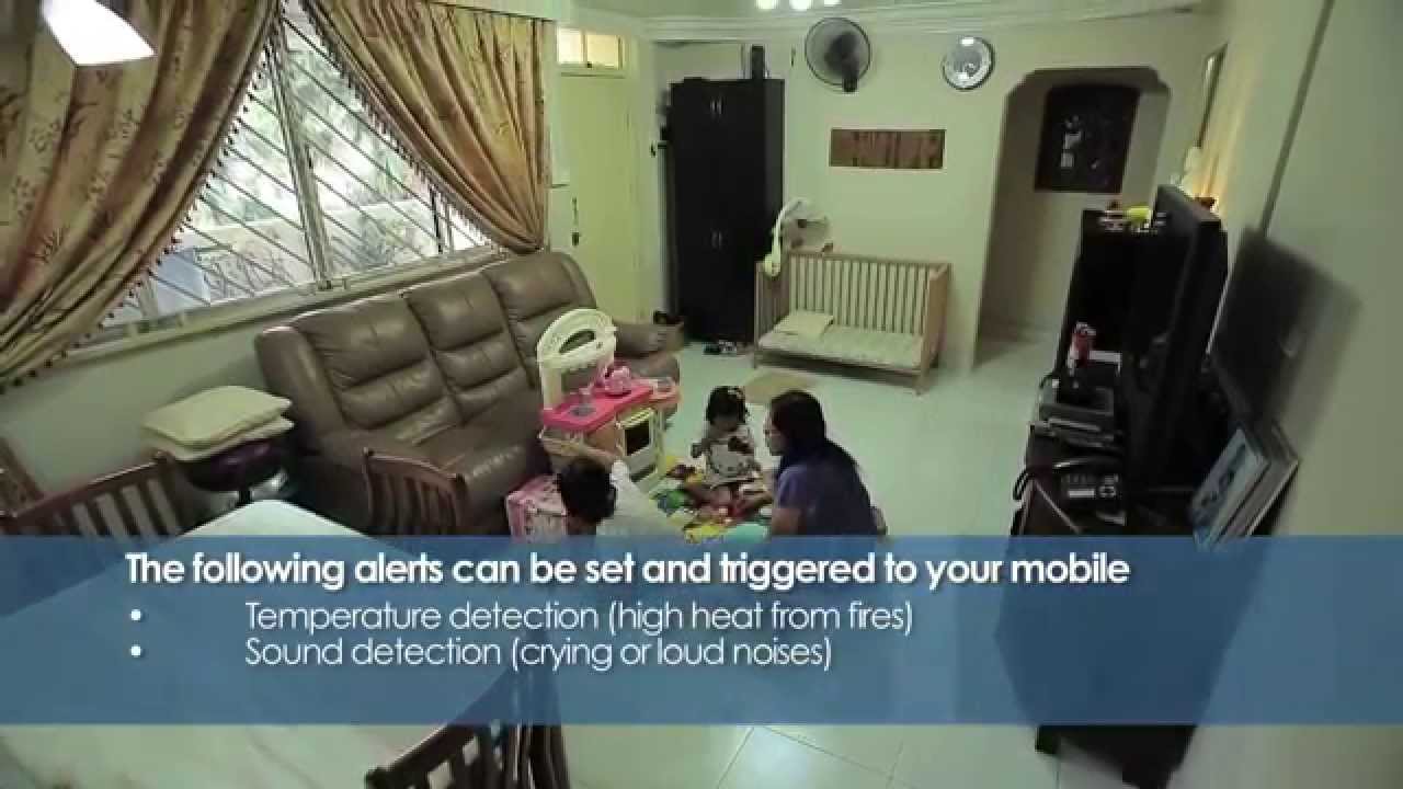 PROLiNK True Plug & Play IP Cameras