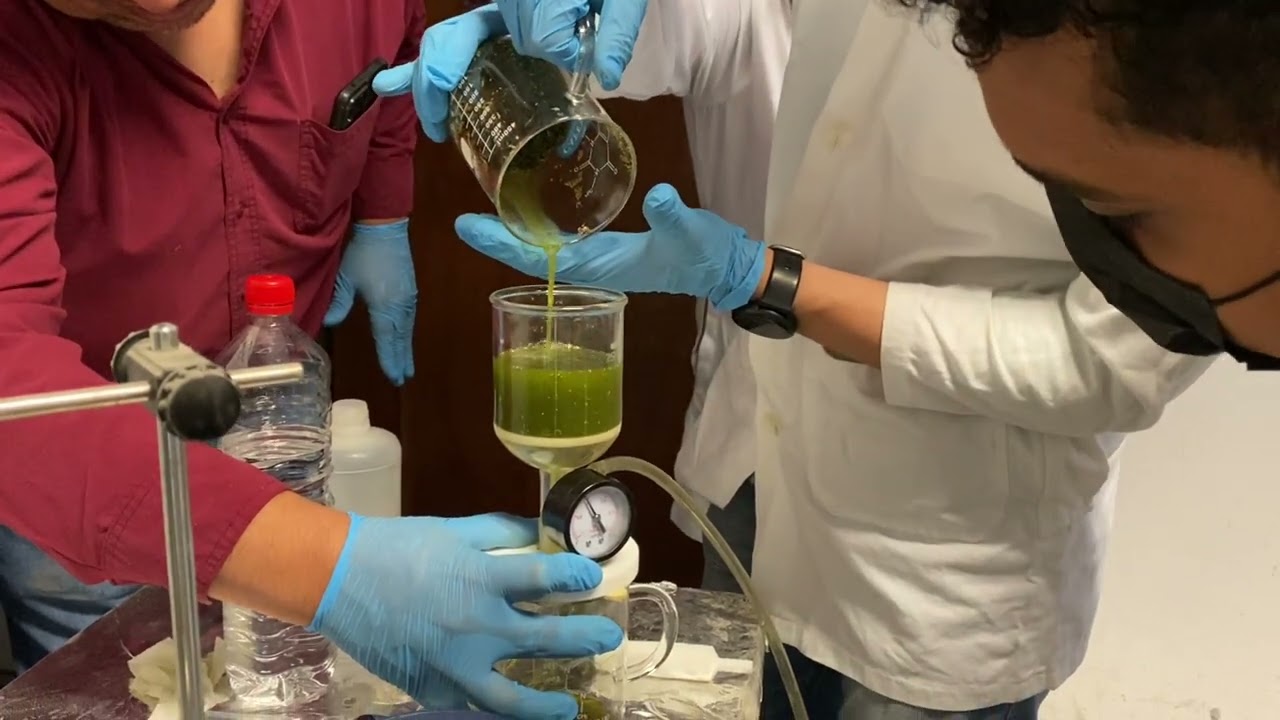 Como se lleva a cabo la extracci&oacute;n de aceite de cannabidiol (CBD)