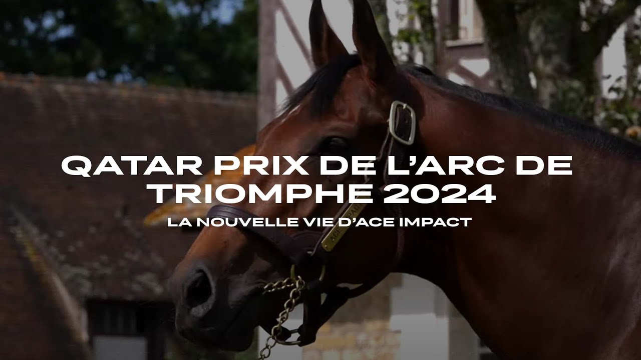 Qatar Prix de l'Arc de Triomphe 2024 - La nouvelle vie du champion Ace Impact