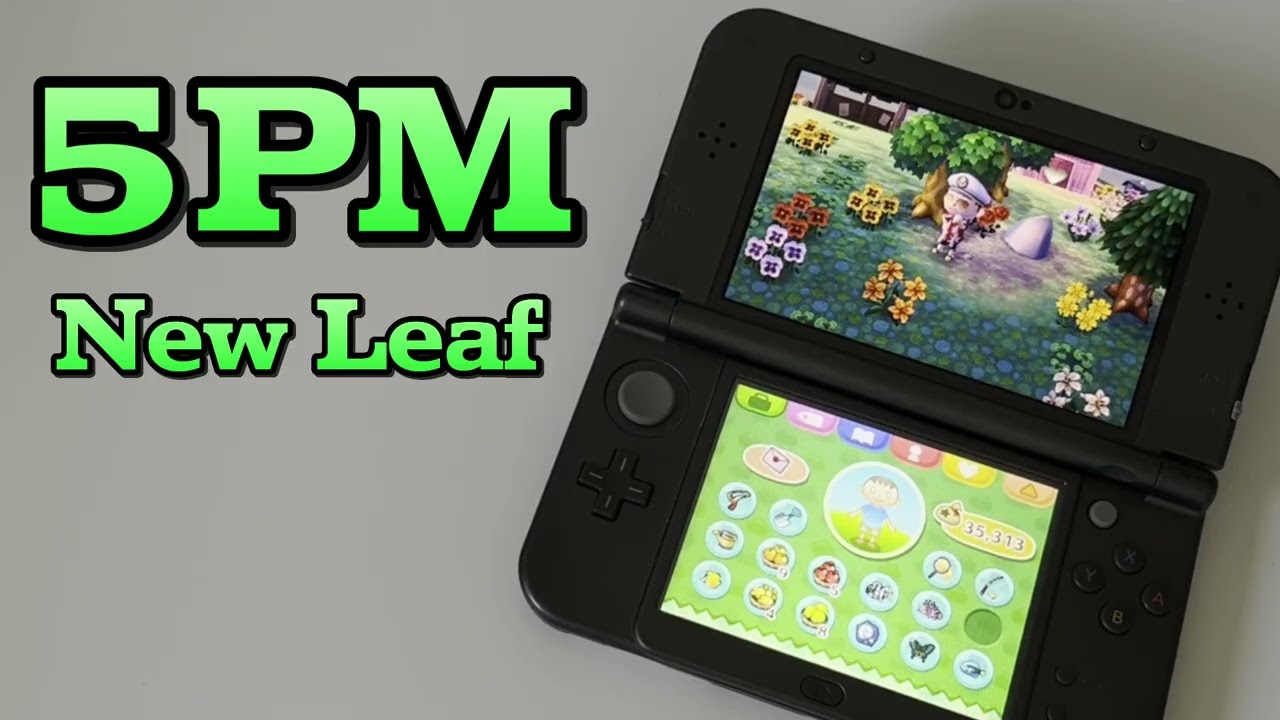 Animal Crossing: New Leaf - 5PM (Arrangement)