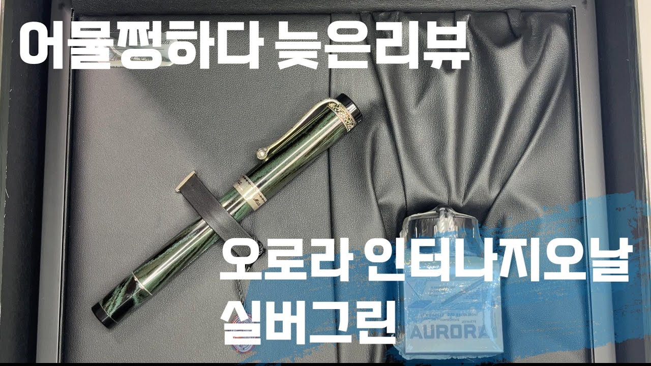 늦었습니다! 2024년 마지막펜!! 오로라인터나지오날 실버그린 