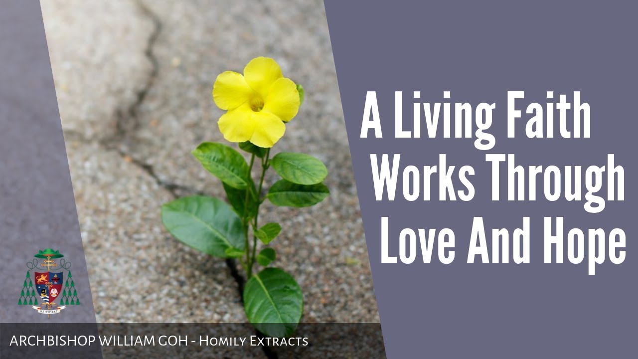 A Living Faith Works Through Love And Hope - Homily by Archbishop William Goh (26 Aug 2019)