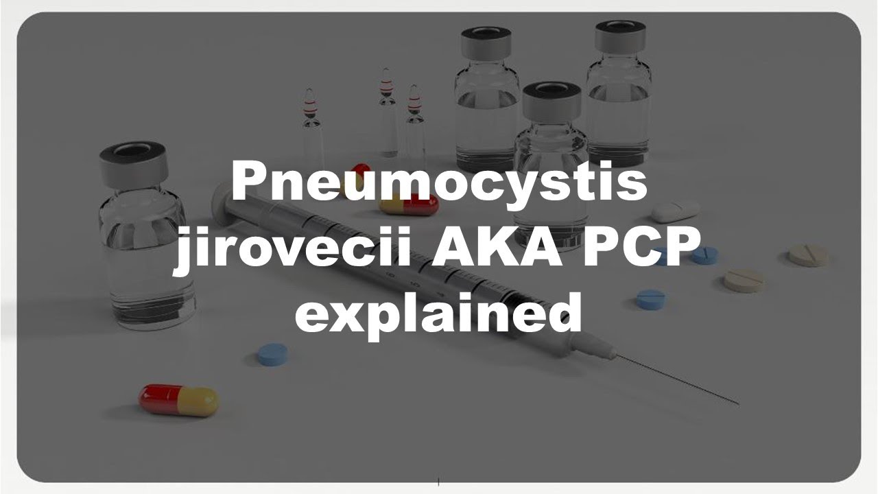 Pneumocystis jirovecii AKA PCP #31 explained