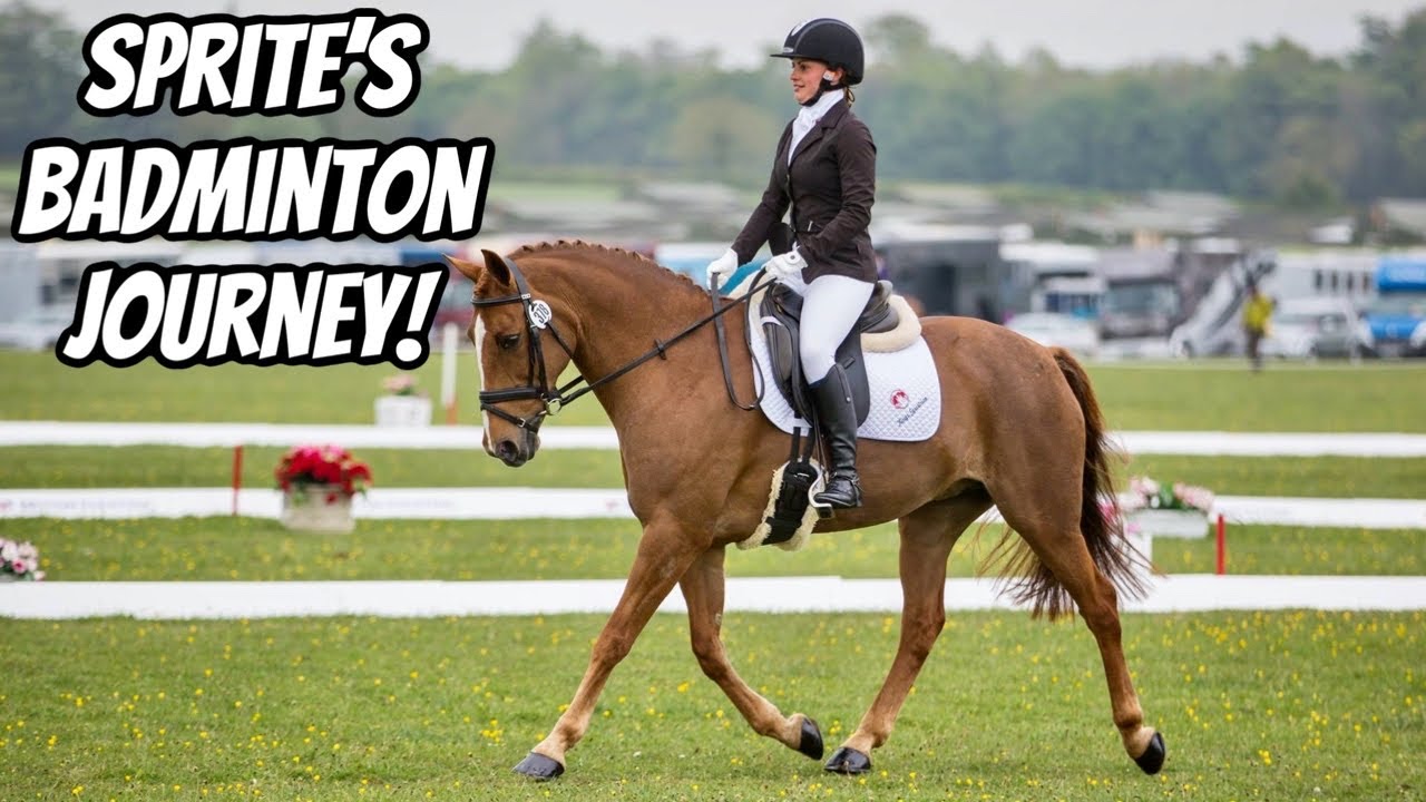 SPRITE’S BADMINTON JOURNEY