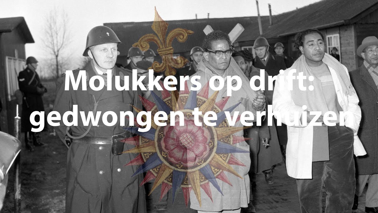Stuk van de week - Molukkers op drift