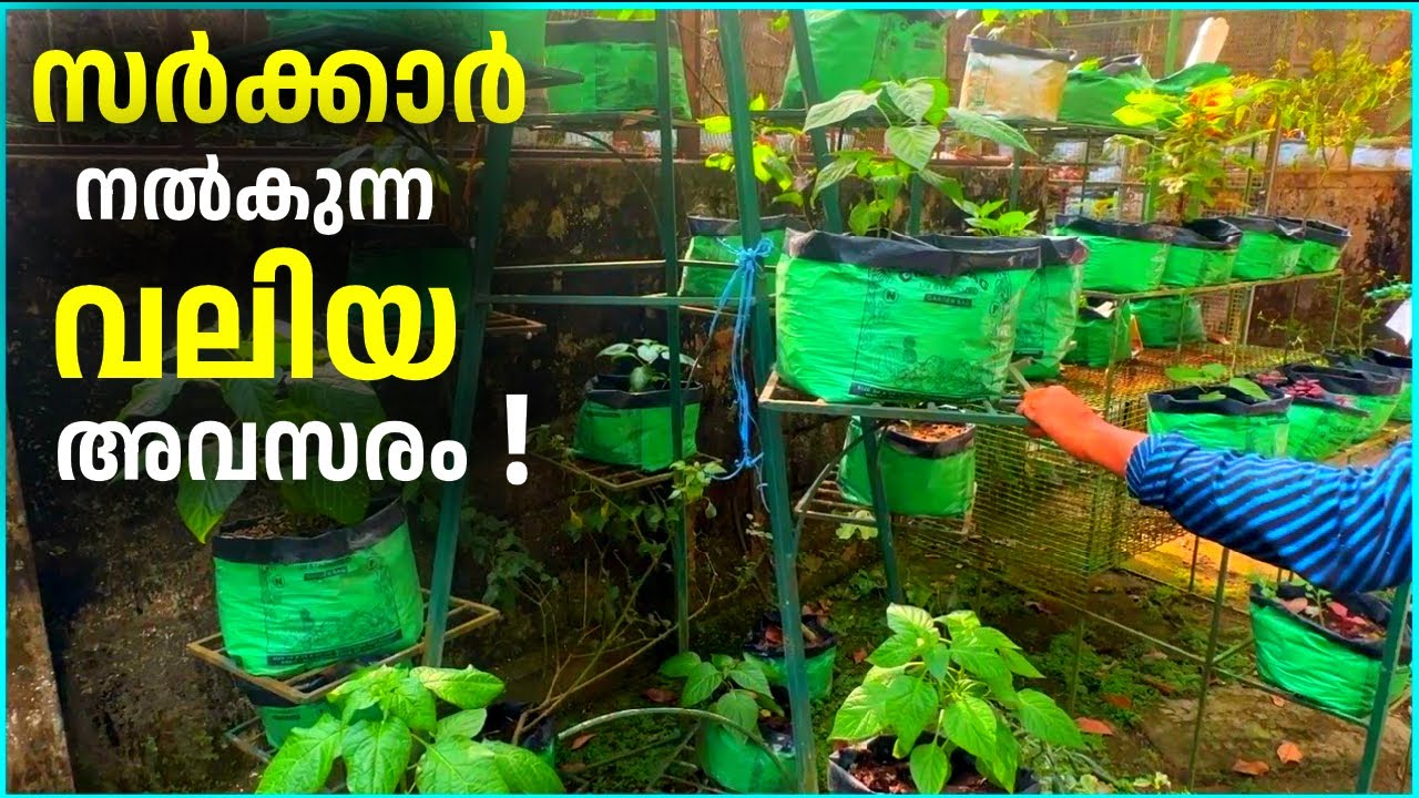 തിരുവനന്തപുരത്ത് വെള്ളനാട് ആണ് /krishi vigyankendra  vellanadu/ Makayiram vlog/@ektabyrani