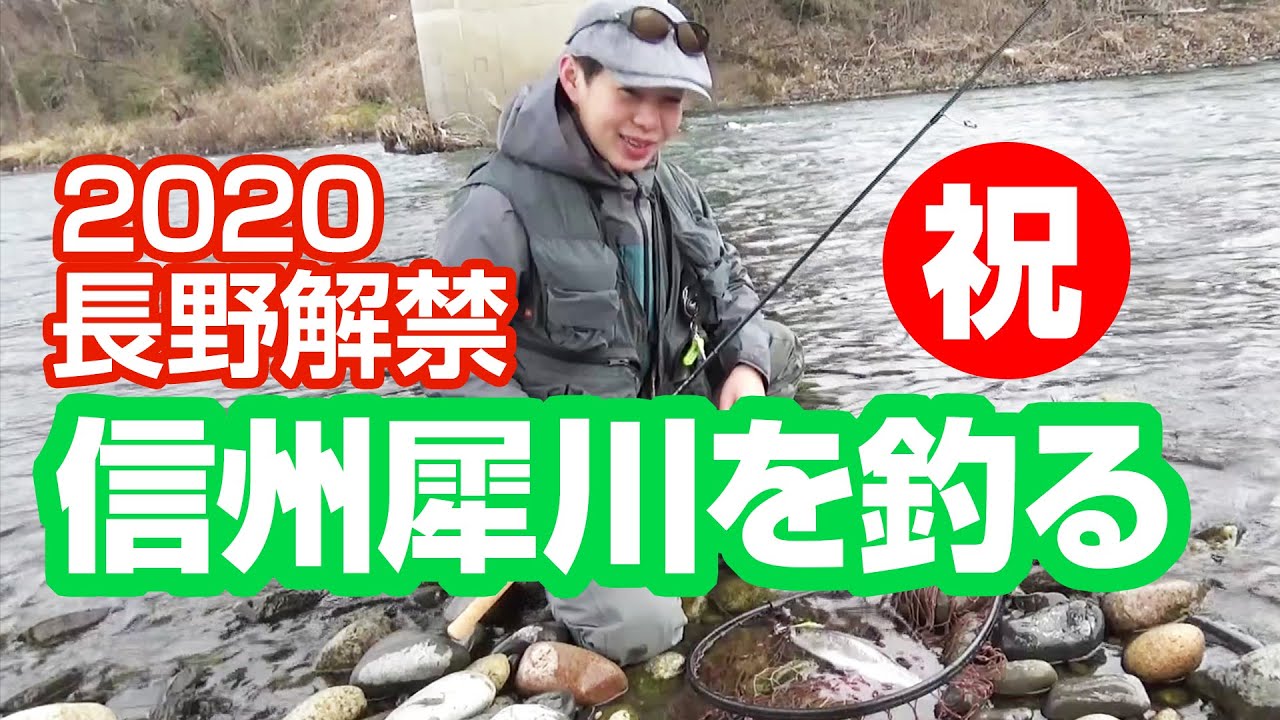 【長野解禁】信州犀川を釣る