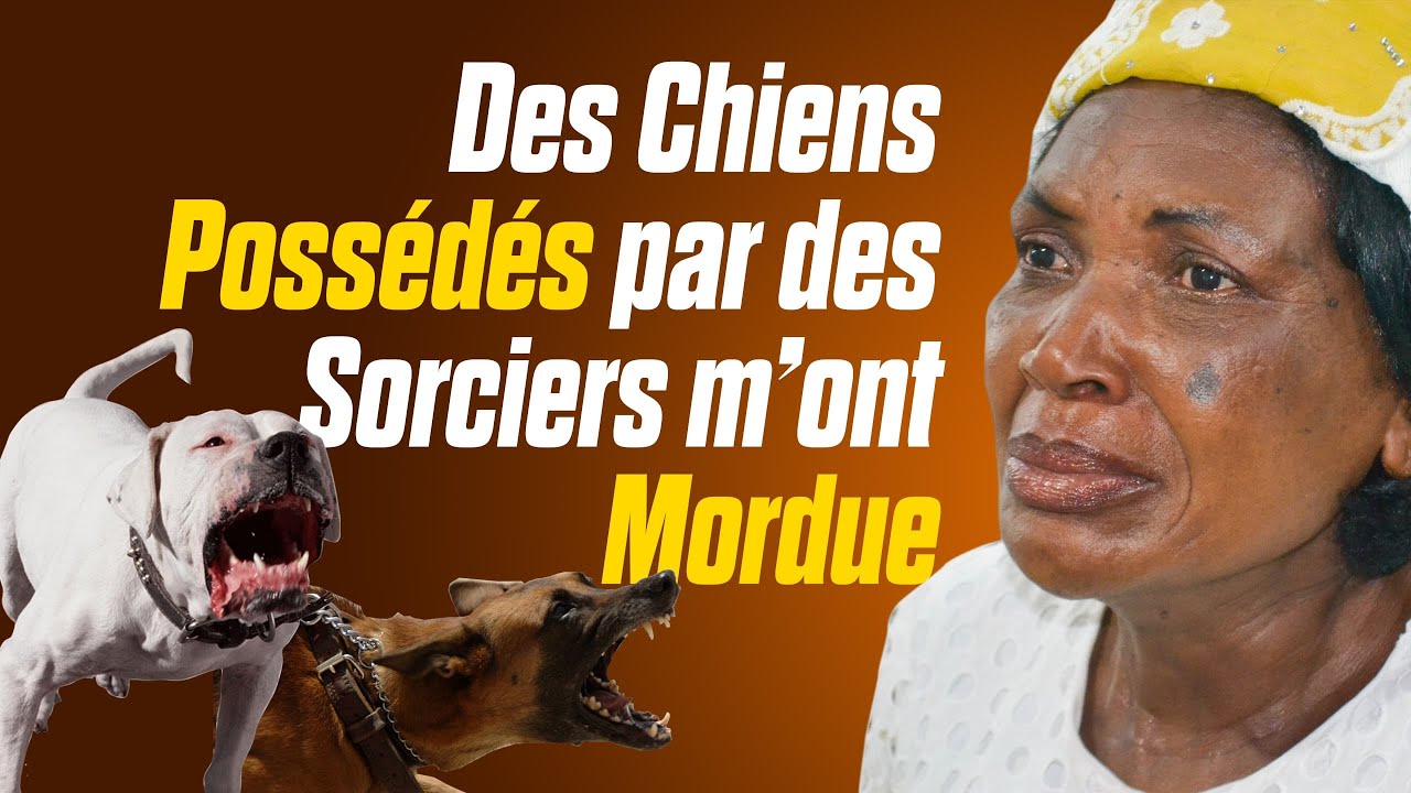 INCROYABLE ! DES SORCIERS POSSÈDENT DES CHIENS ET LES ENVOIENT MORDRE UNE FEMME !