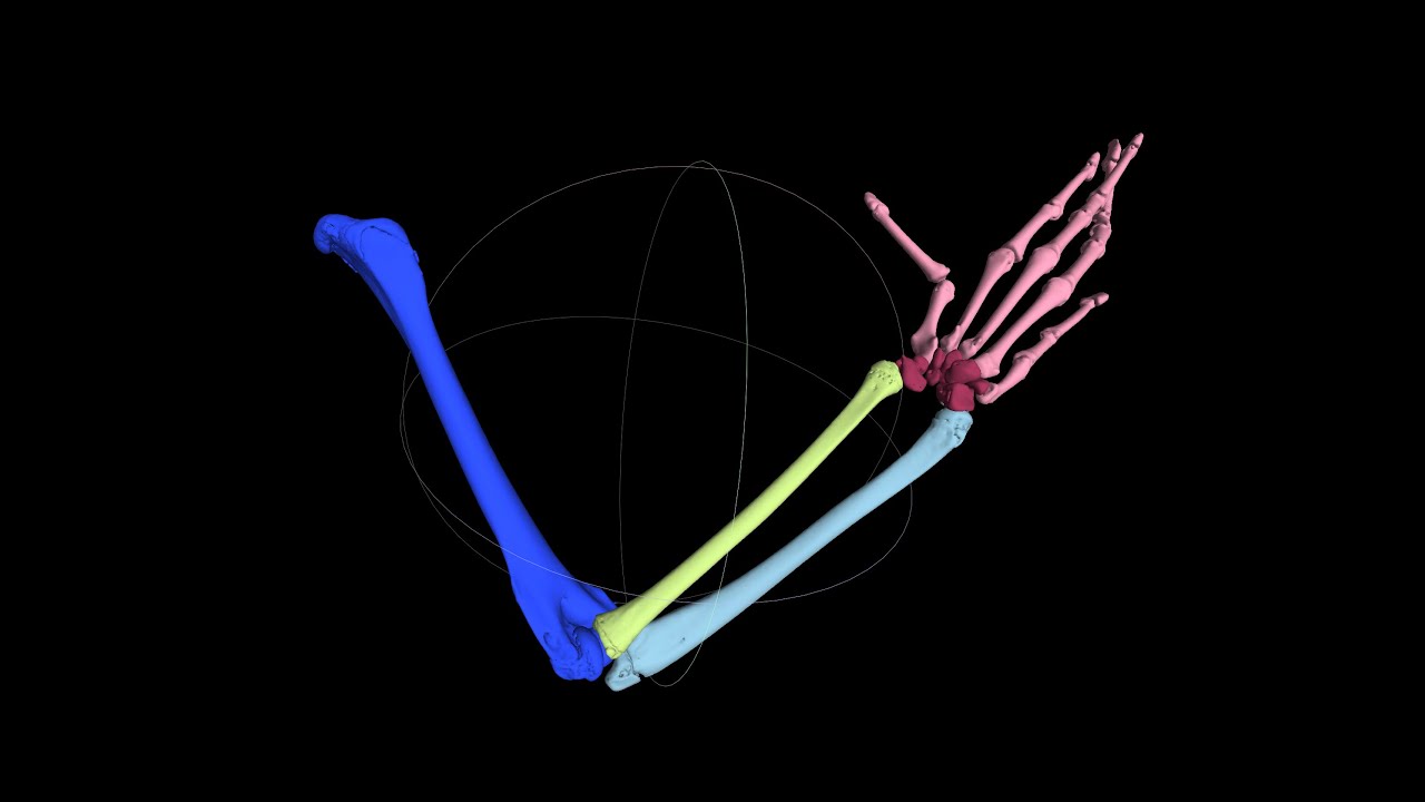Meshlab Demo 1: Measuring, decimation, coloring