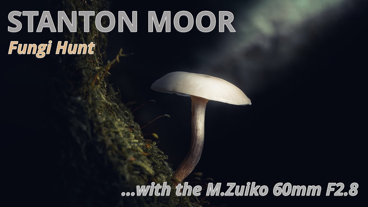 Stanton Moor Fungi Hunt with the M.Zuiko 60mm F2.8 Macro