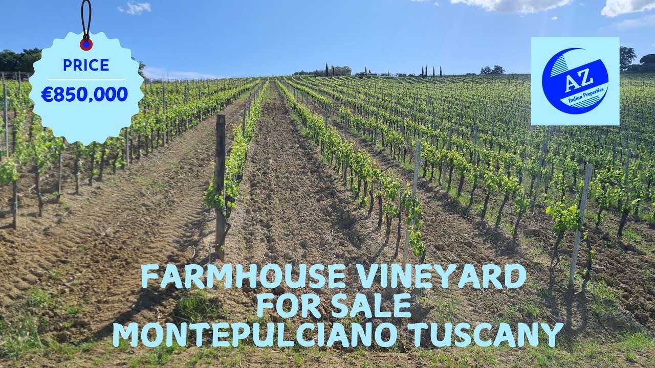 Charming Tuscan Wine Estate – Farmhouse + 95 Olive Trees + Vineyards