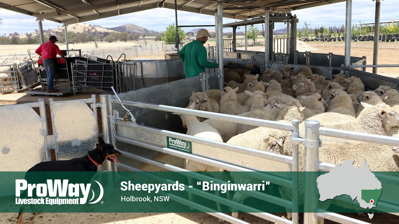 ProWay Sheepyards - 