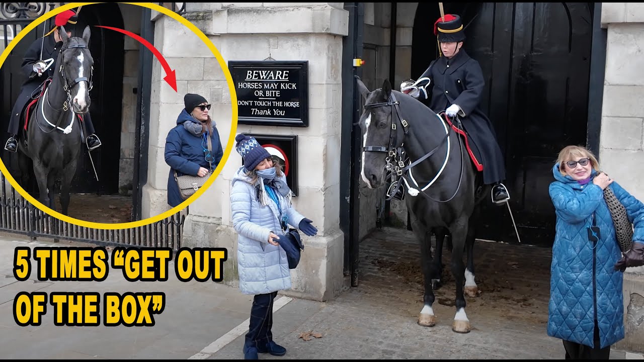 ❌ UNBELIEVABLE!! GUNNER SHOUTS 5 times at them then USES her horse to GET ONE OF THEM OUT OF THE BOX