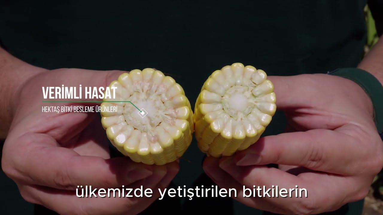 Bitki Beslemede Hektaş Farkı: Verimli ve Kaliteli Tarım &Ccedil;&ouml;z&uuml;mleri