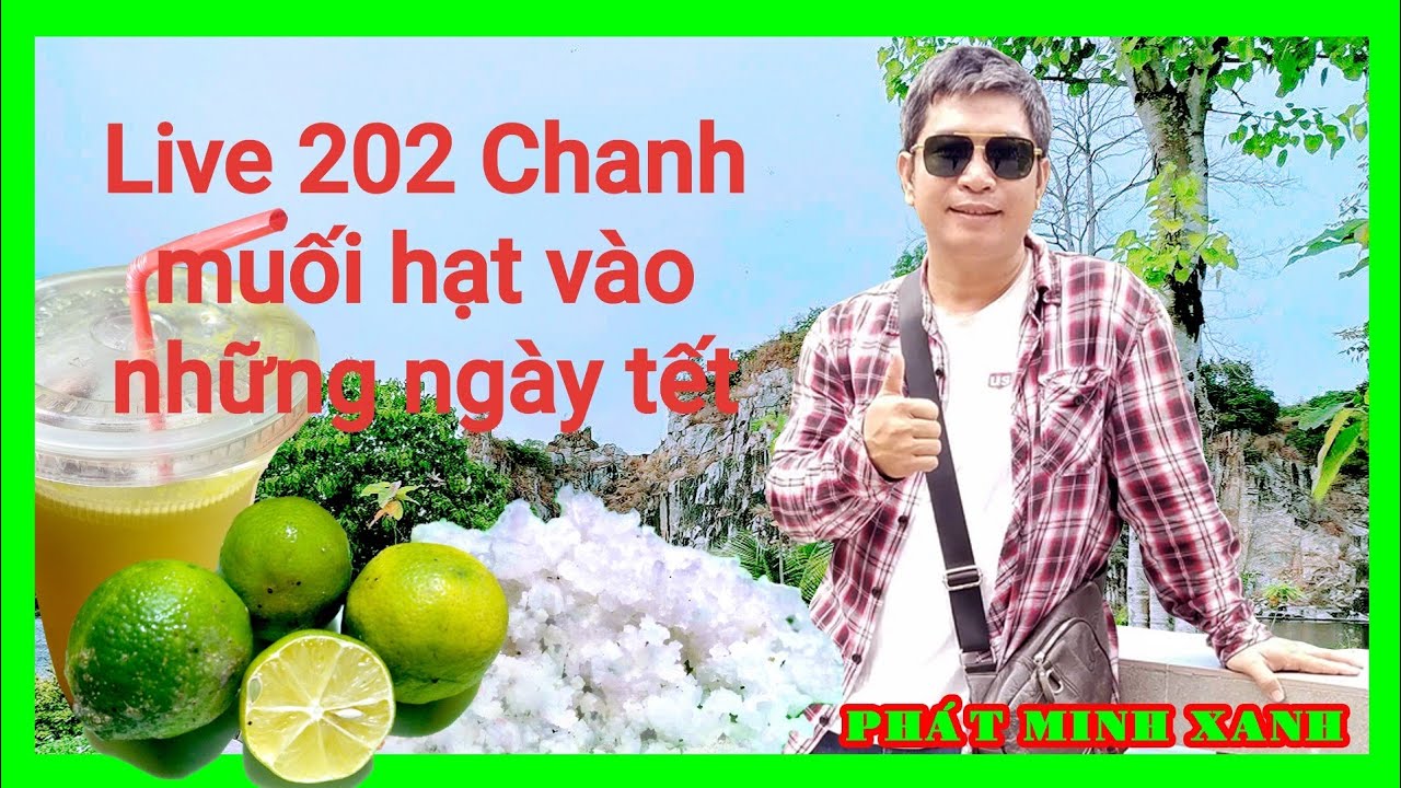 Live 202 Chanh muối hạt vào những ngày tết