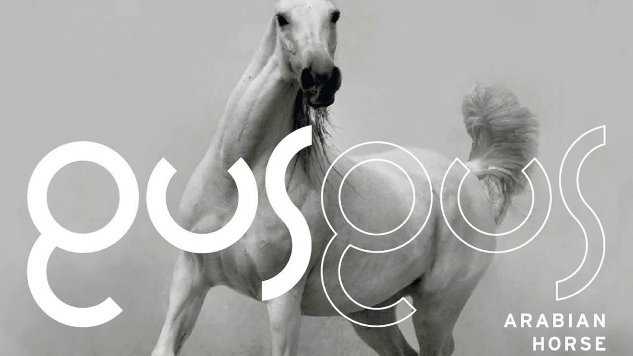 GusGus - Within You 'Arabian Horse' Album