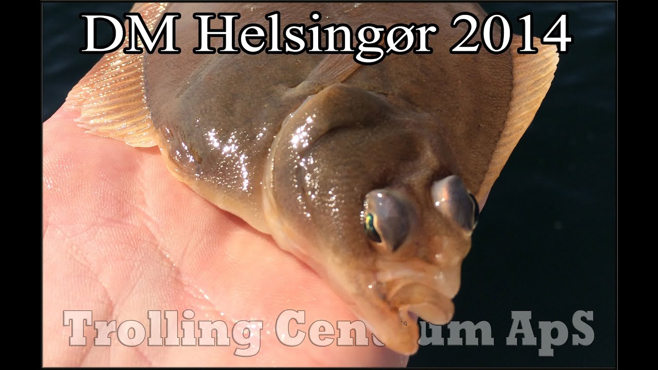 Trolling TV - DM Helsingør 2014