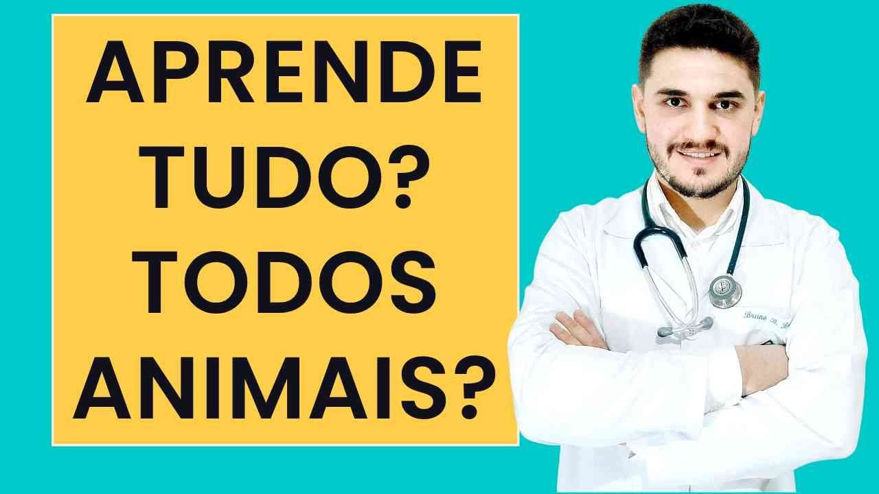COMO É A FACULDADE DE MEDICINA VETERINÁRIA