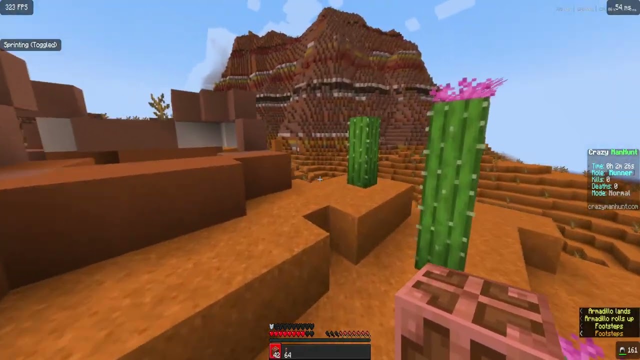 Minecraft Random Item Challenge vs Pro REMATCH
