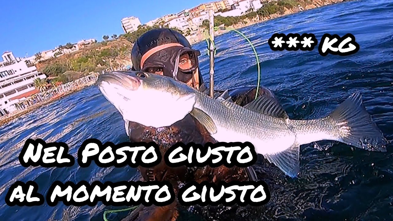 Pescasub | Sottocosta Fortunato