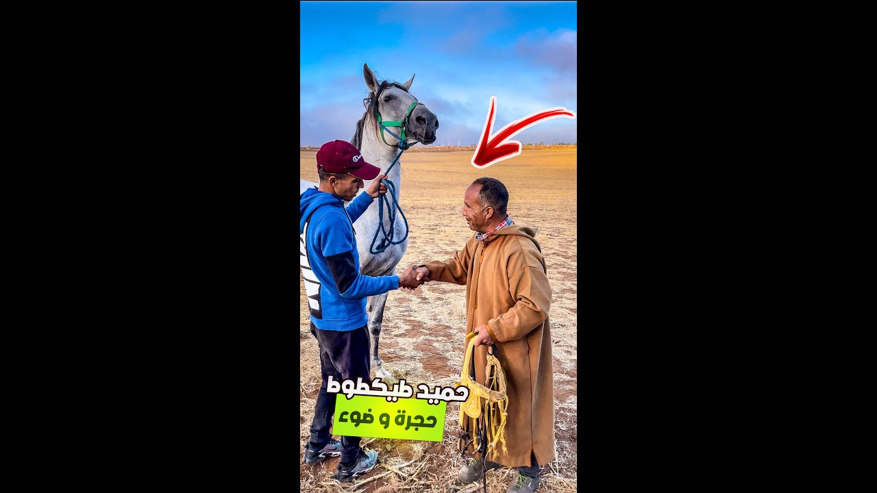 موت ديال الضحك😂 مع حميد طيكطوك باع عود حجرة وضوء لباردي مولوع لسوق الخميسات