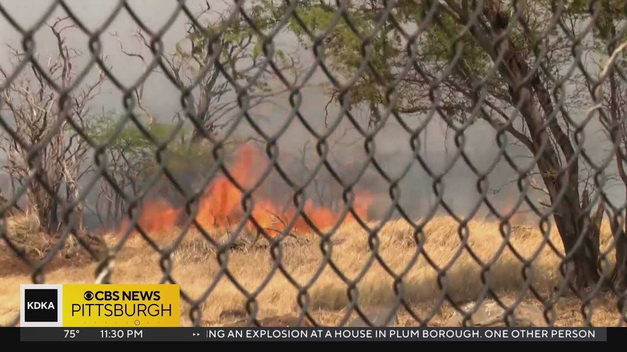 Pittsburgh-area Polynesian groups to host fundraising event benefitting wildfire victims