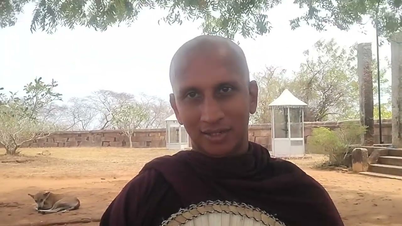 2025 අගෝස්තු මස 7 වන දින තිරියාය සිරිහඩු සෑය අසල දී පැවැත් වු ධර්ම දේශනාව හා සාකච්ඡාව  11