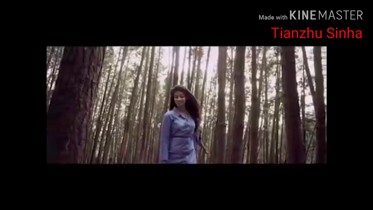 Dehowri Mi Tore Howpone De New Bishnupriya Manipuri Song Status