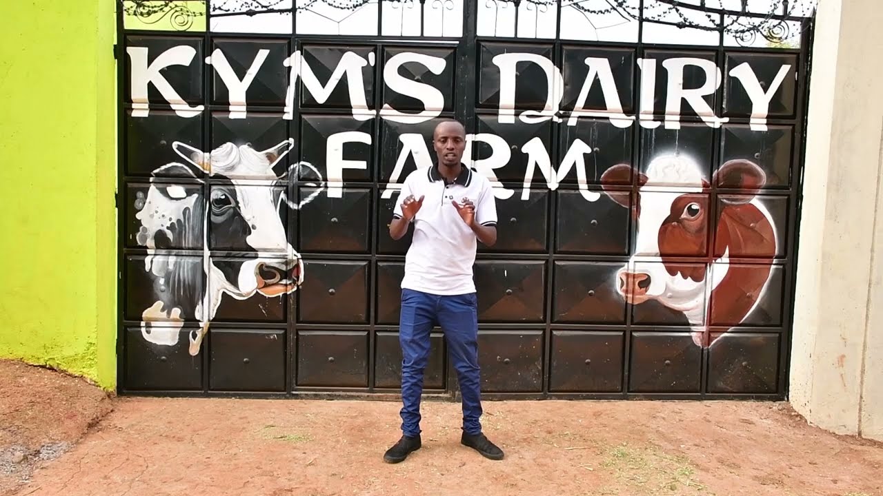 1300 Litres a Day:  An inspiring journey of a large-scale dairy farmer from Meru County