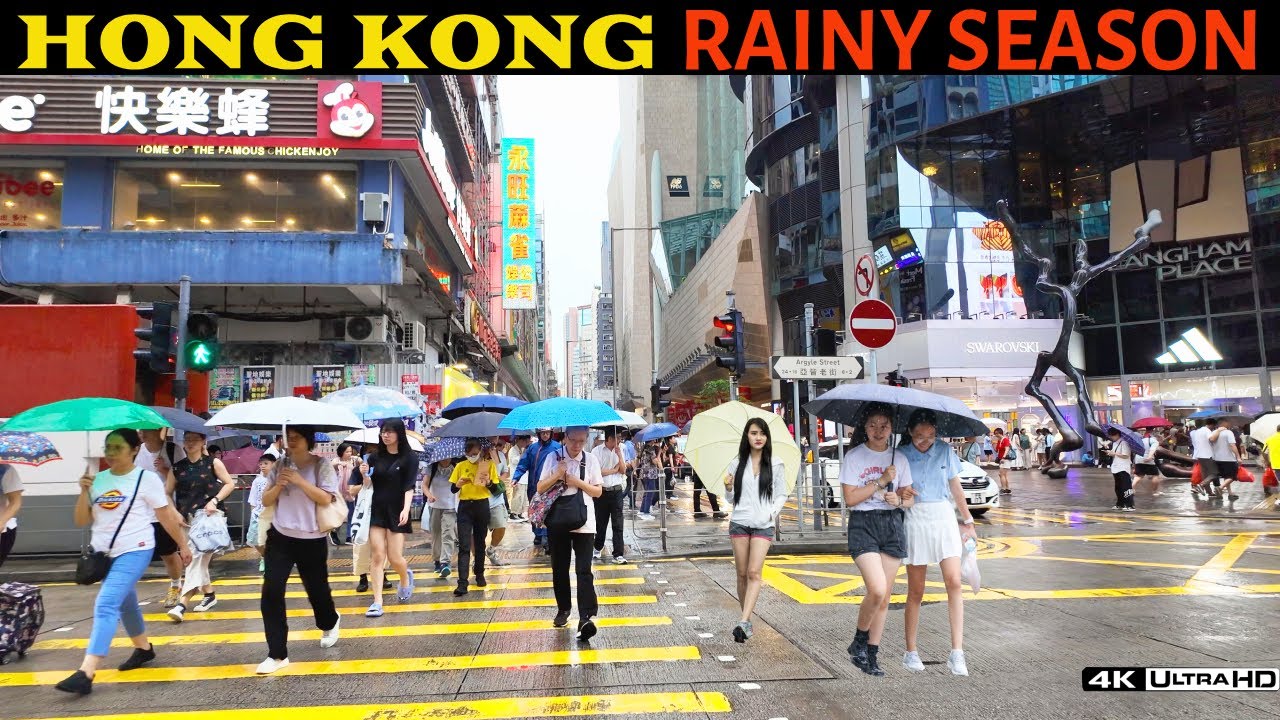 The Sound of Rain: Hong Kong's Wet Season Ambience Walk | Streets Glowing in the Rain