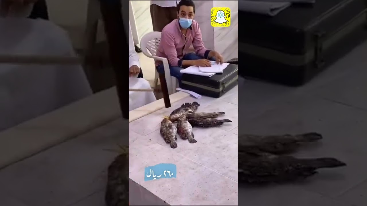 افتتاح سوق الاسماك بمحافظة رابغ (سناب مجتمع رابغ)
