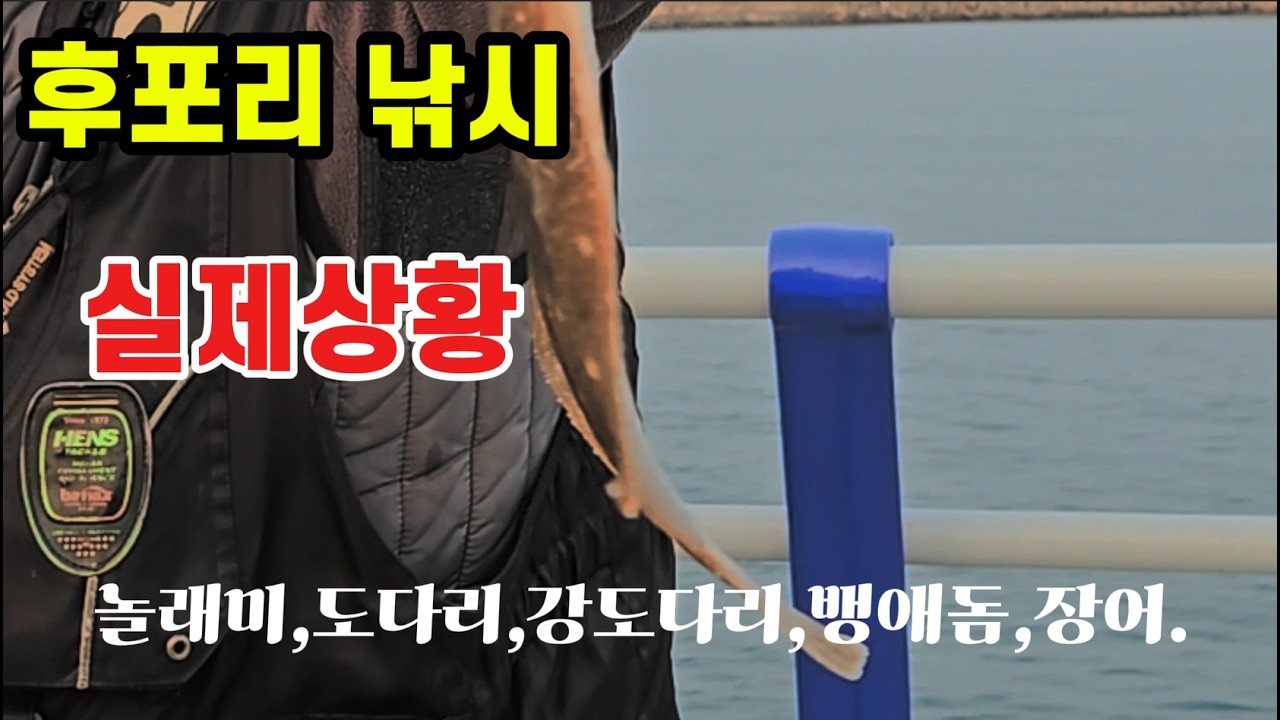 후포리 낚시 실제상황! #찌낚시 #루어낚시 #원투낚시 #낚시채비,.