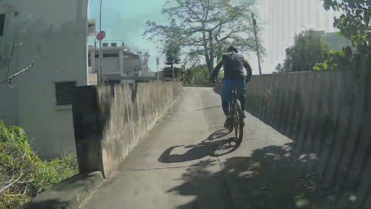 踩單車村路遊 - 2026年1月8日 #mtb #cycling 