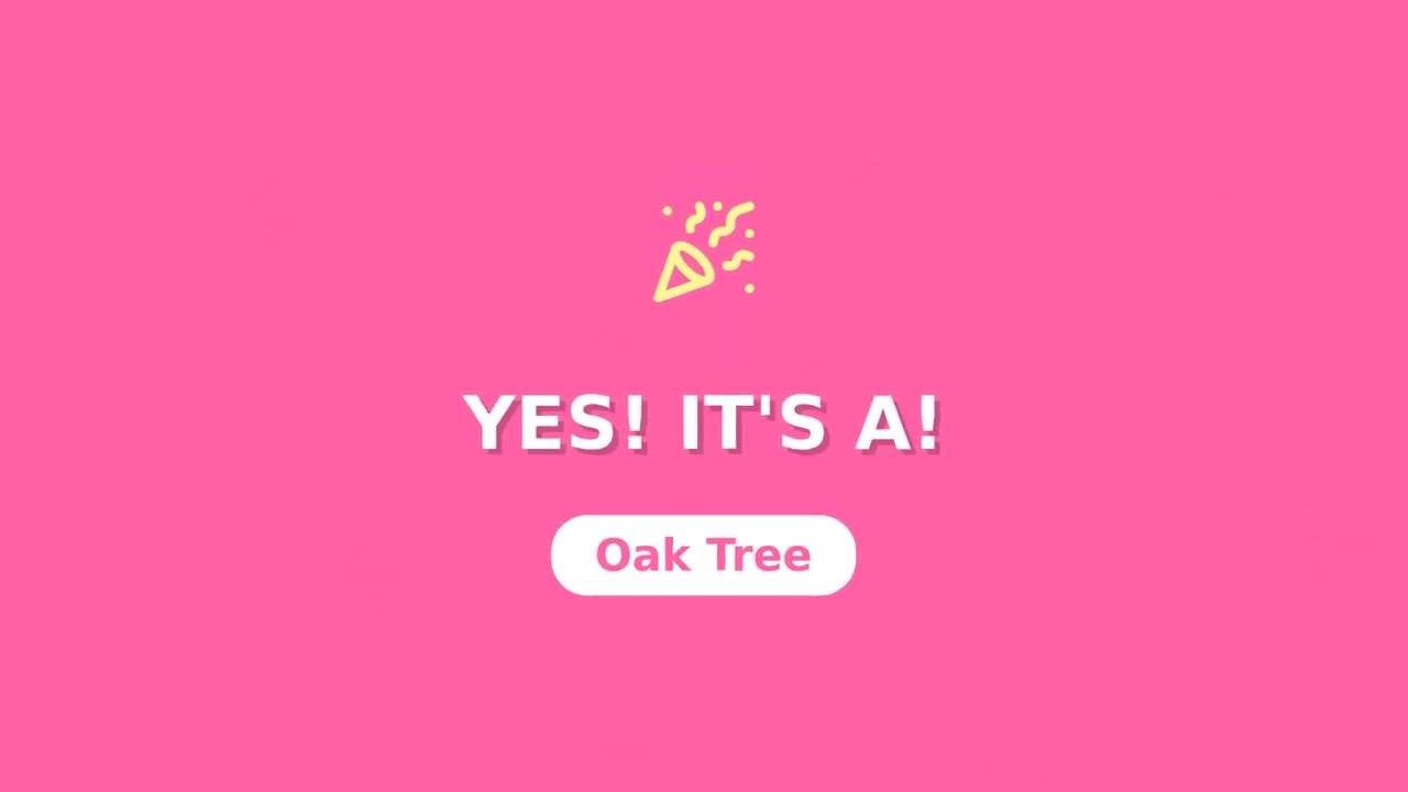 Epic Kids ENCHANTED FOREST CREATURES Quiz for Kids! 🦁