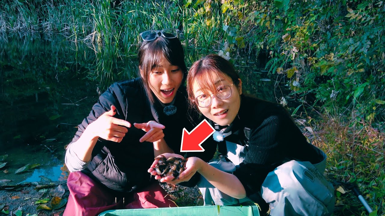 真冬の池をガサガサしたら大量の外来生物にやられていました...
