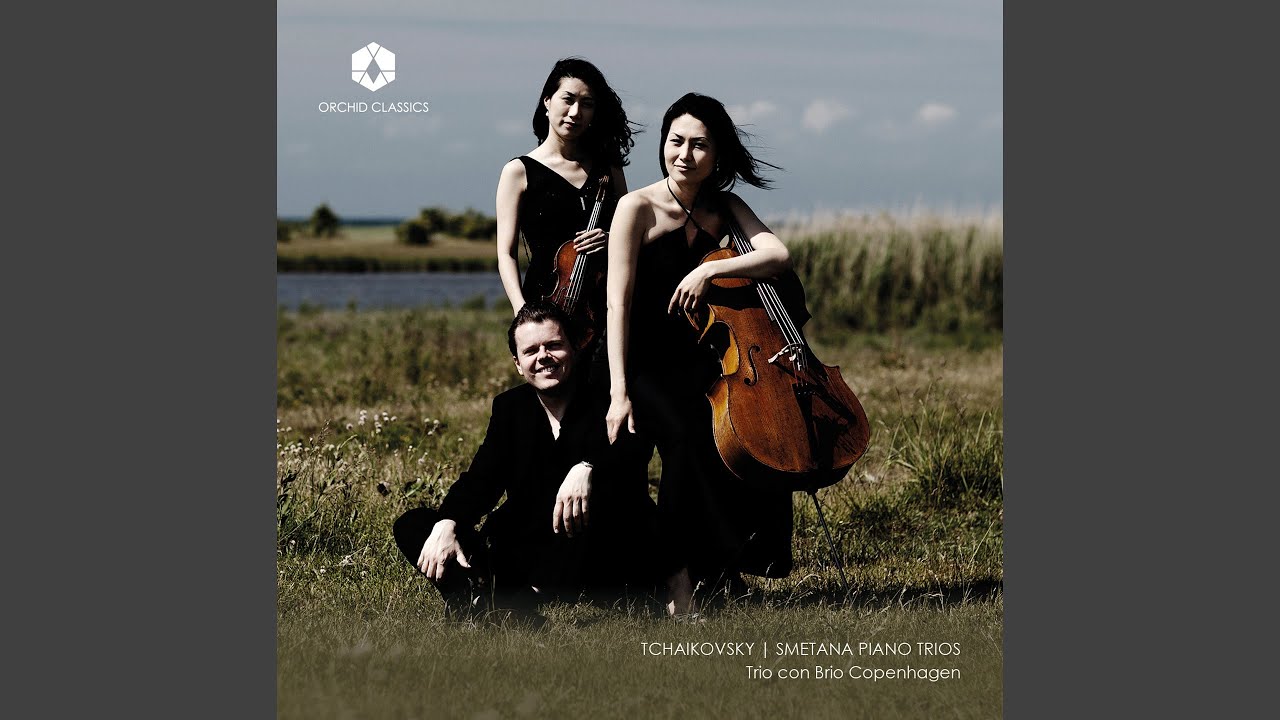 Piano Trio in A Minor, Op. 50, TH 117: I. Pezzo elegiaco: Moderato assai - Allegro giusto