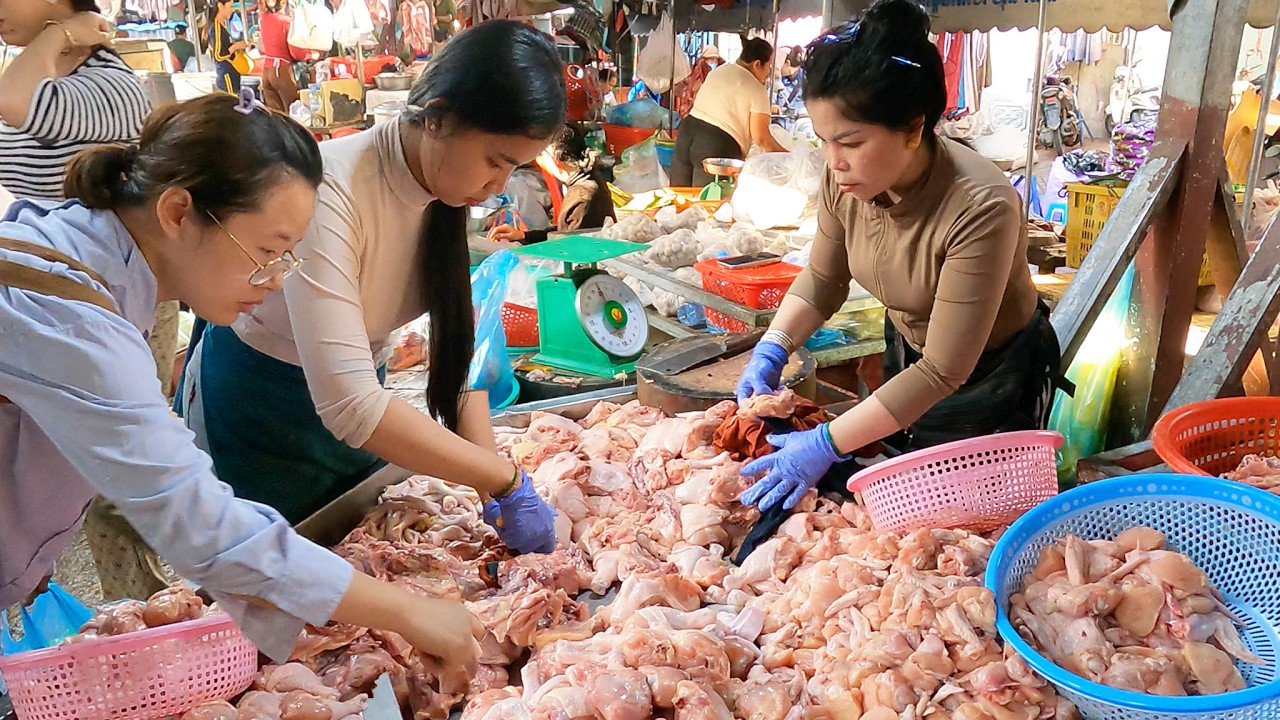 Inside Cambodia’s Vibrant Wet Market: Fresh Chicken, Seafood & Busy Local Life | Daily Routine
