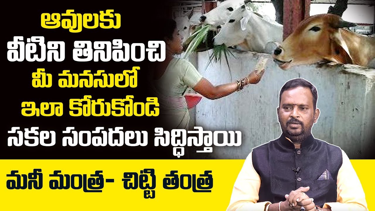 Chitti Tantra To Get Rich: Acharya Anantha Krishna Swamy about Milionaire Money Mantra
