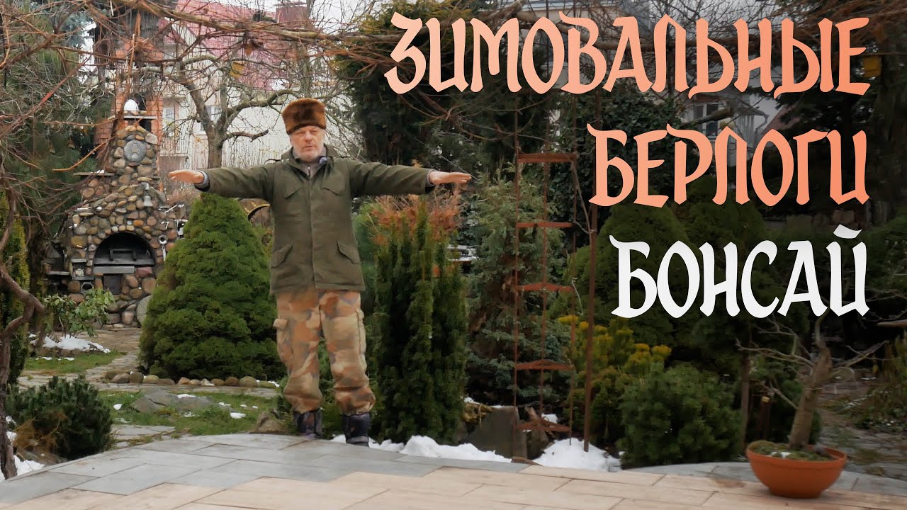 Карасансуй.  Зимовальные берлоги накануне зимы . Karasansuy. Wintering dens Bonsai #bonsai