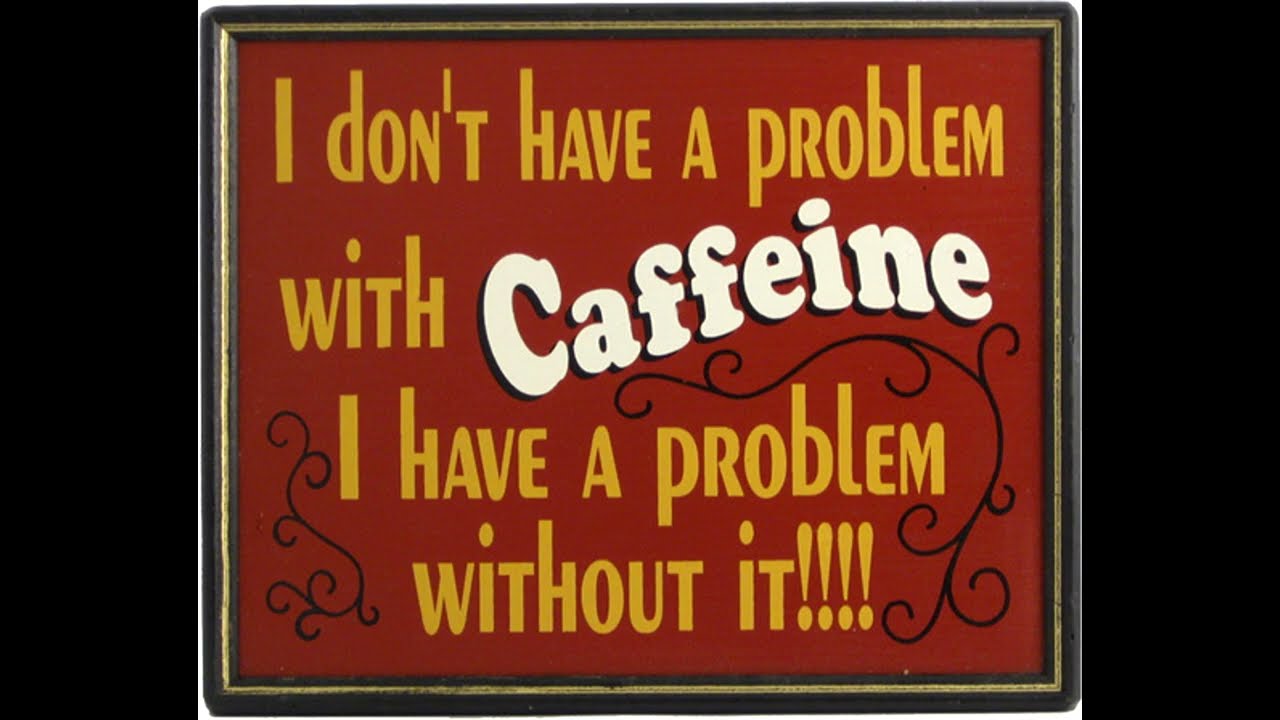 Signs of Stupidity: Episode 2 (Read Description)