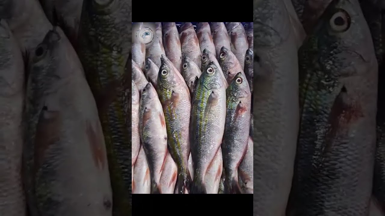 Inside a World-Class Fish Processing Factory