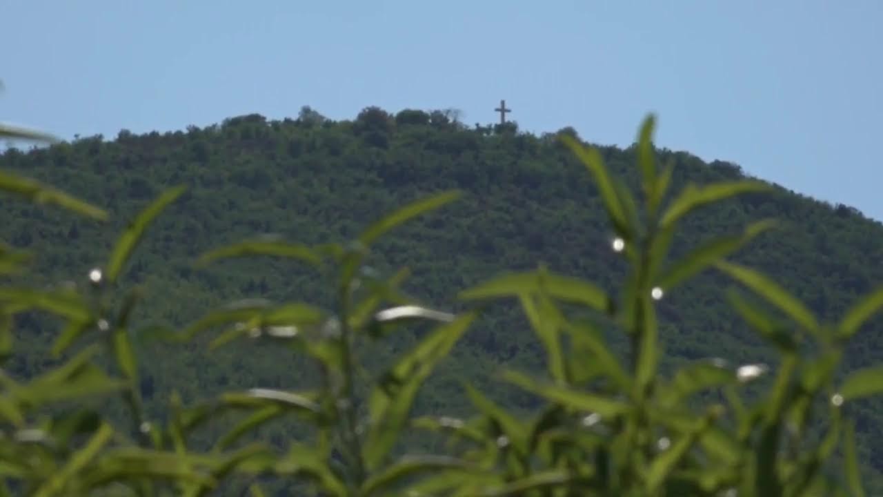 Ángelus 12:00 MD: 