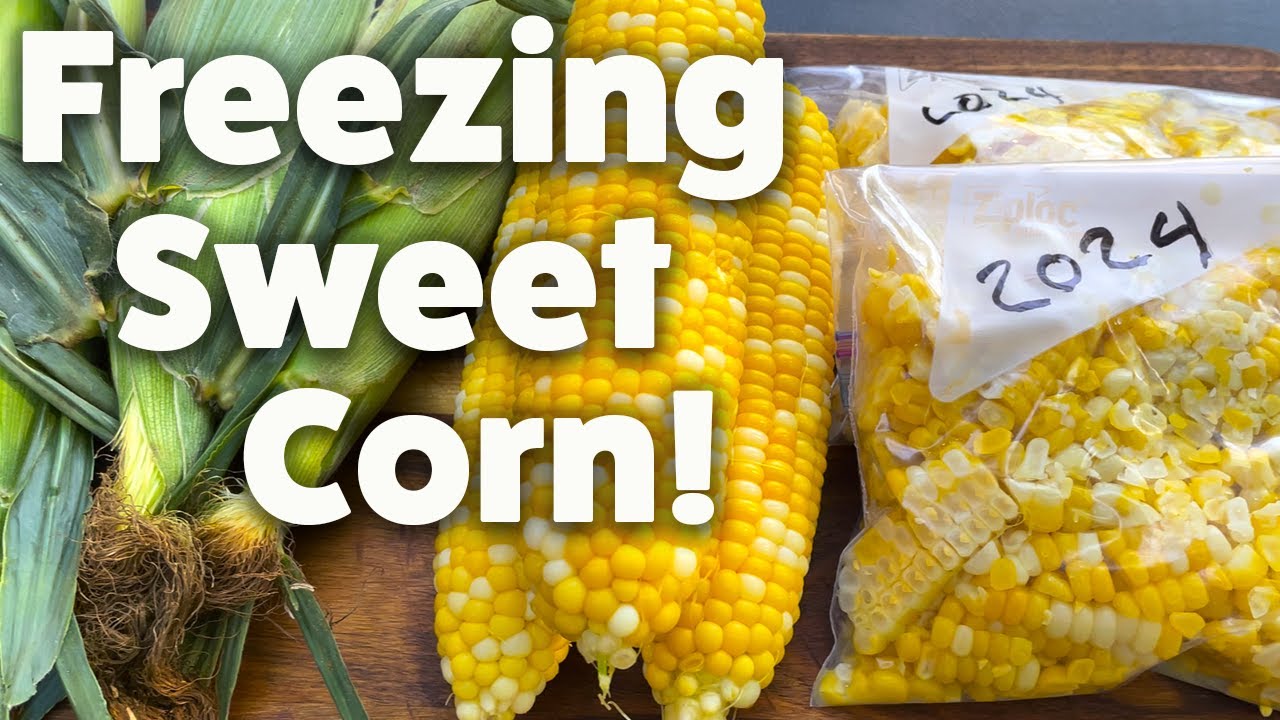 My Quick and Easy Process for Freezing Sweet Corn