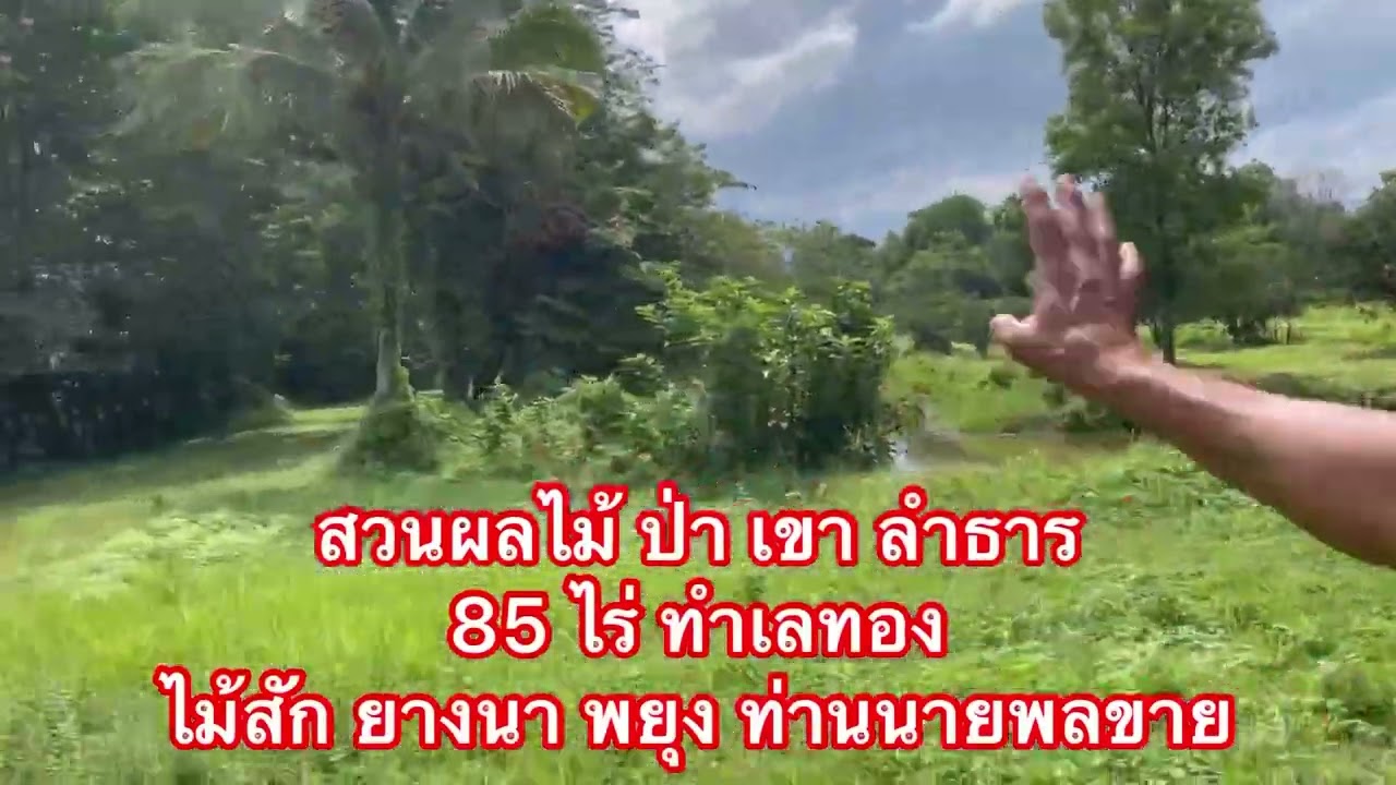 ขาย สวนผลไม้ ป่าเขา ลำธาร ภูเขา สุดที่แปลงนี้ท่านนายพลขาย ใครจะเป็นผู้โชคดี0830974963 ต้อมอสังหา