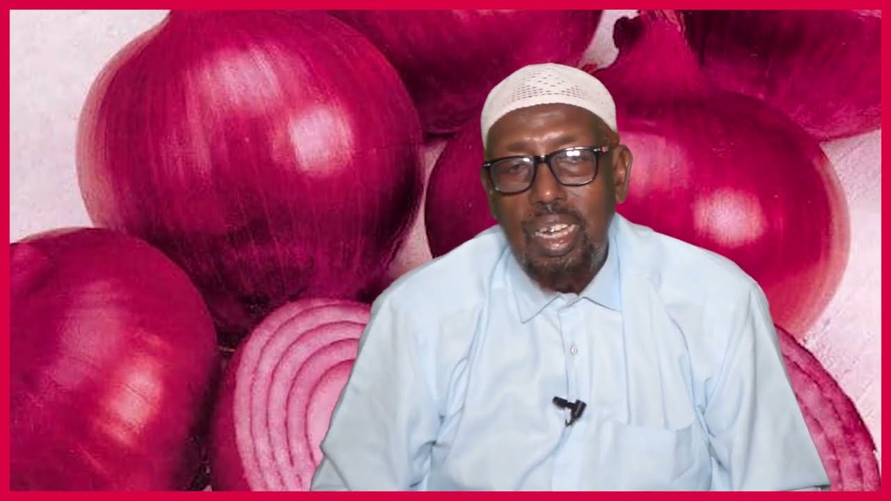 Wax Badan Ka Ogoow Faa'iidada Basasha Qeybtii 1aad