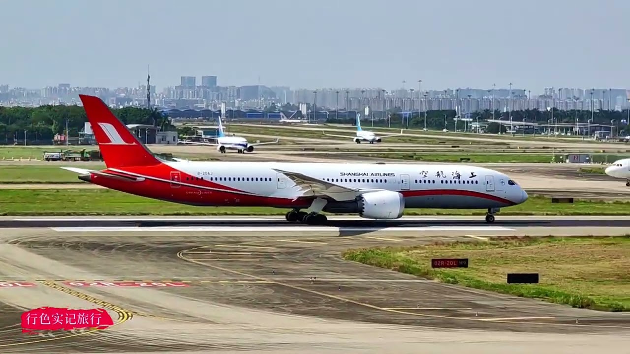 上海航空波音737带领自家787起飞，一飞冲天，后面跟着一架小白鹭