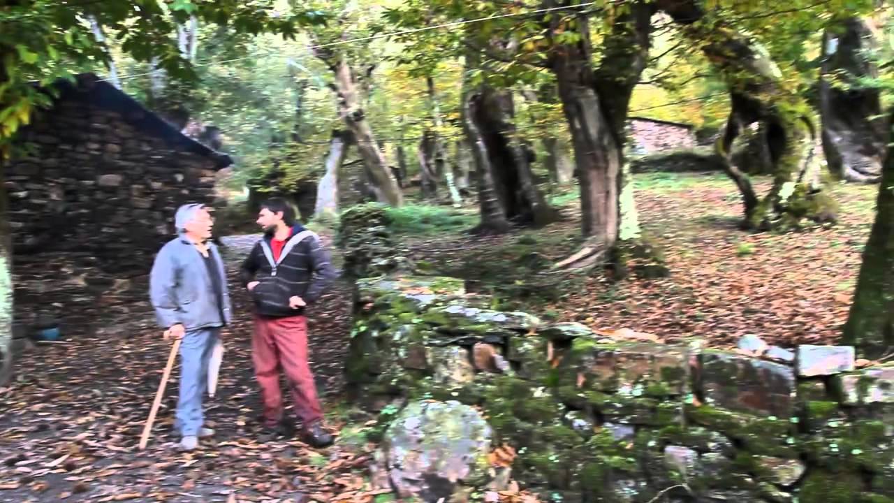 Os sequeiros de Castro Portela