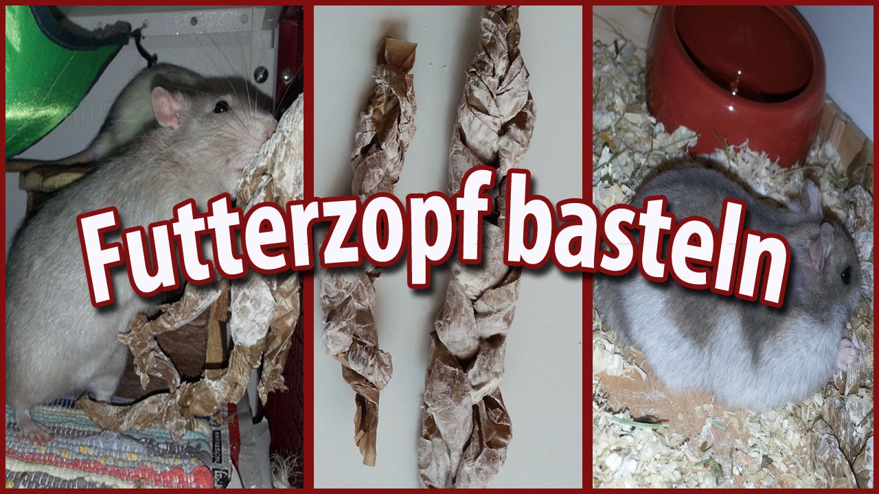 Futterzopf für Ratten, Hamster und andere Nagetiere (DIY)