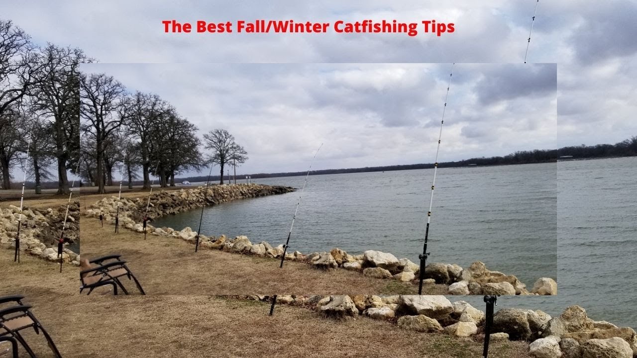 Fall/Winter Catfishing Tips || Bank Techniques