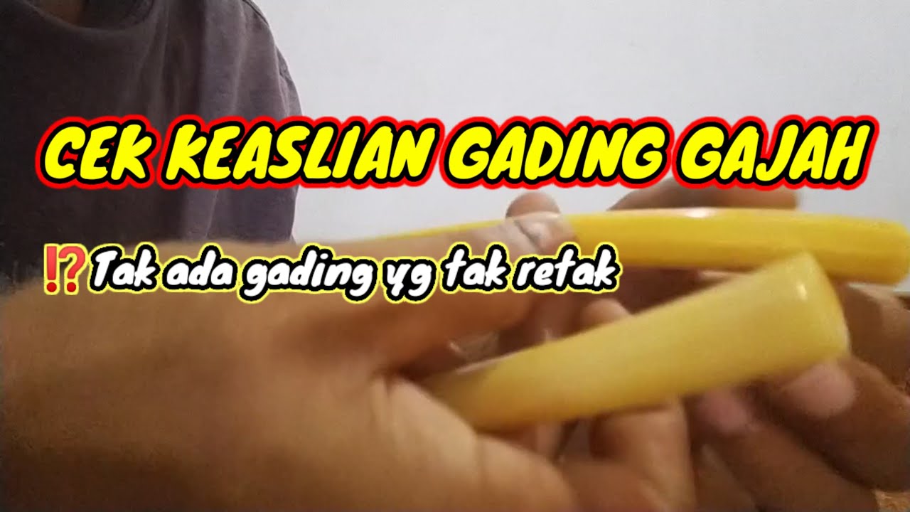 CARA MENGECEK GADING GAJAH ASLI, ⁉️ Pipa rokok gading gajah #gadinggajah #piparokok